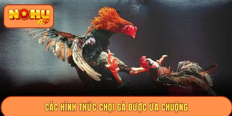 Các hình thức chọi gà được ưa chuộng